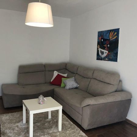 Apartment Safran Novigrad  ภายนอก รูปภาพ