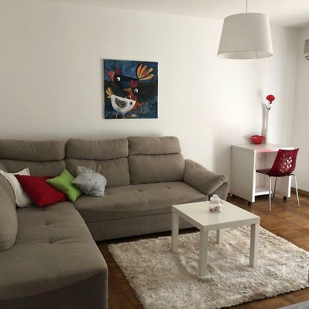 Apartment Safran Novigrad  ภายนอก รูปภาพ