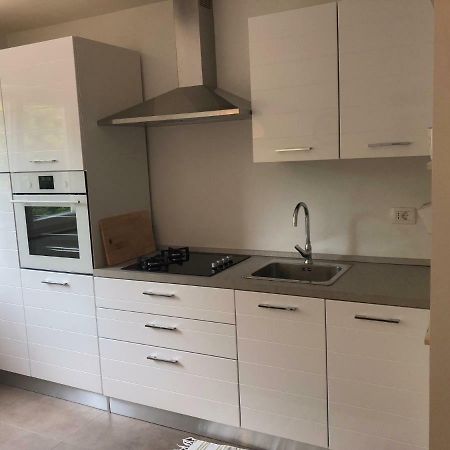 Apartment Safran Novigrad  ภายนอก รูปภาพ