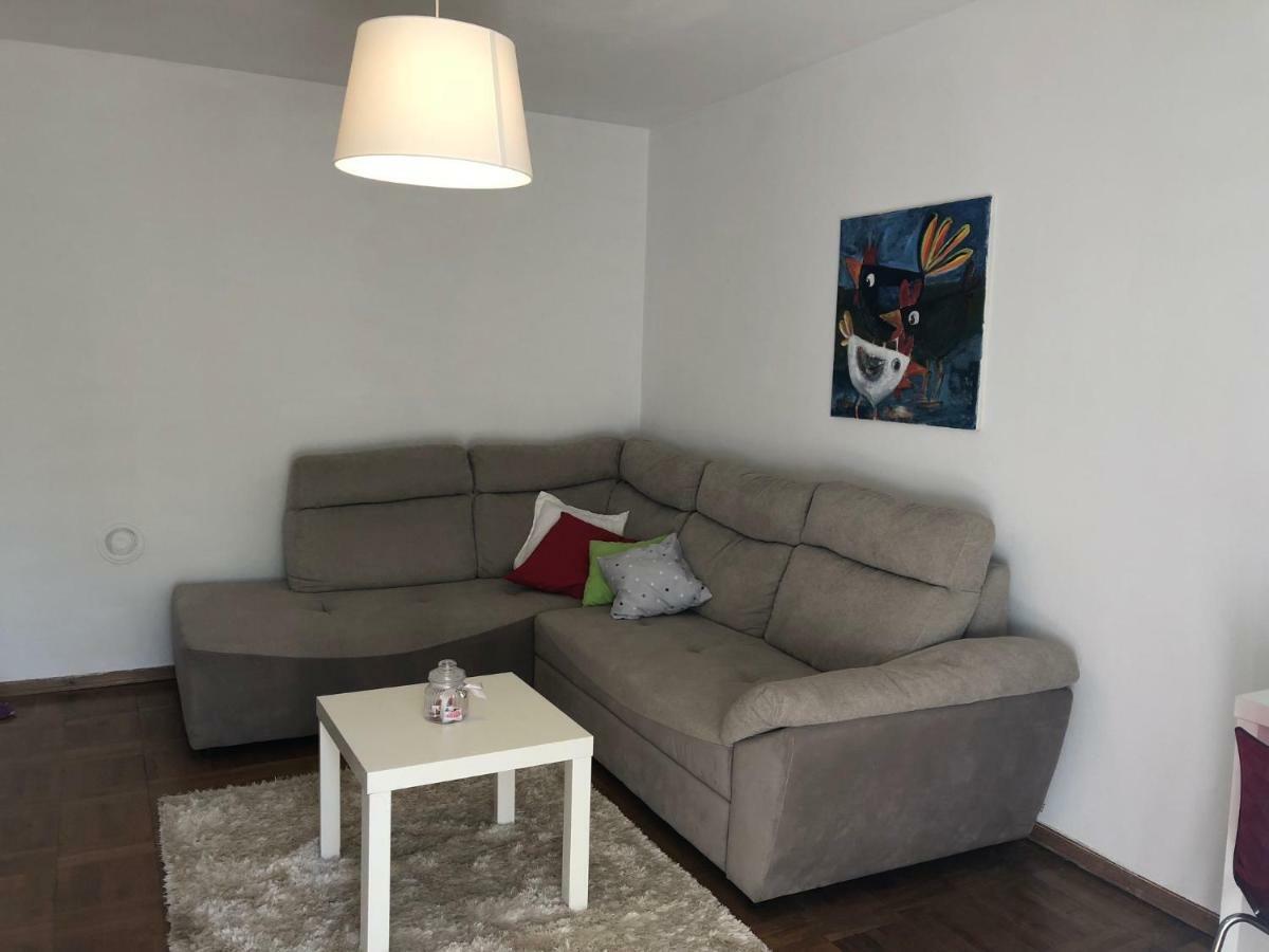 Apartment Safran Novigrad  ภายนอก รูปภาพ
