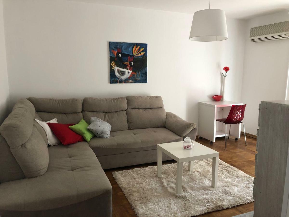 Apartment Safran Novigrad  ภายนอก รูปภาพ