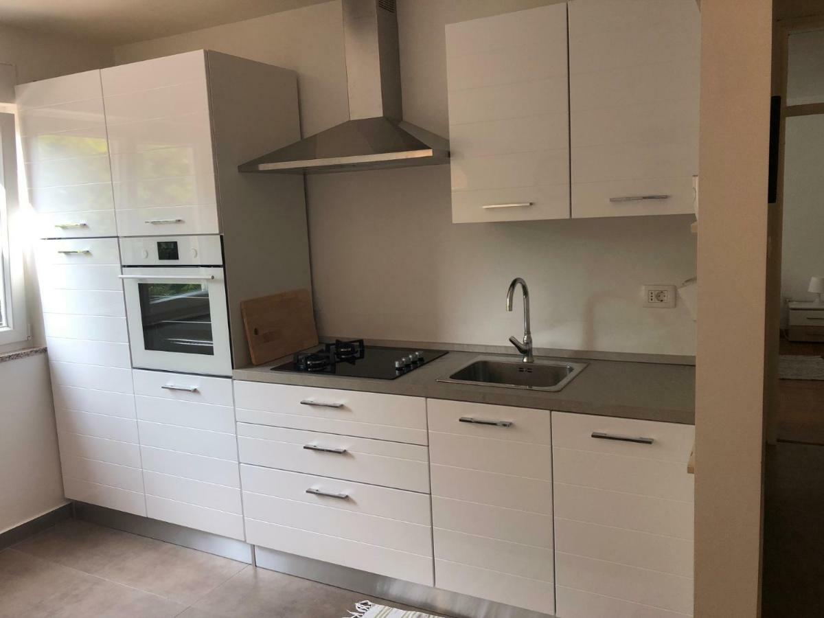 Apartment Safran Novigrad  ภายนอก รูปภาพ