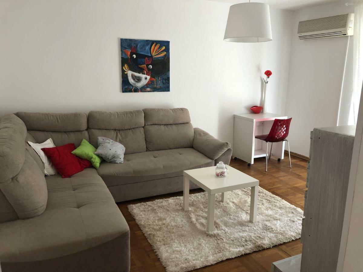 Apartment Safran Novigrad  ภายนอก รูปภาพ